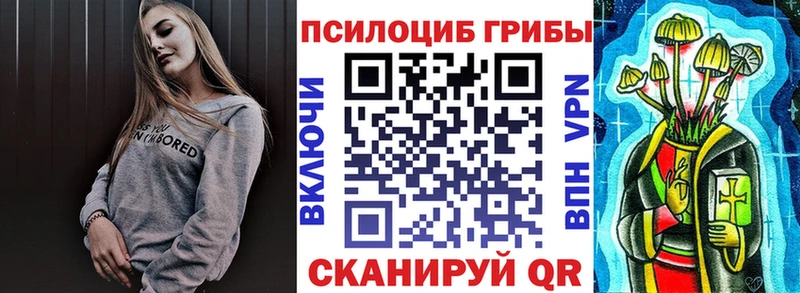 Галлюциногенные грибы Psilocybine cubensis  купить  цена  Волжск 