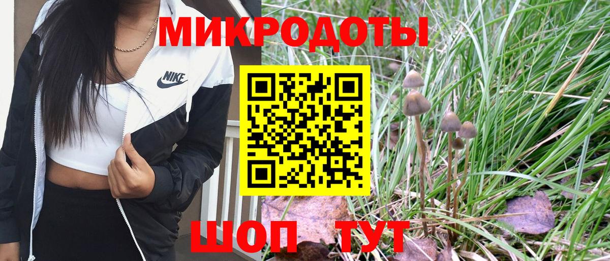 Псилоцибиновые грибы Magic Shrooms Волжск