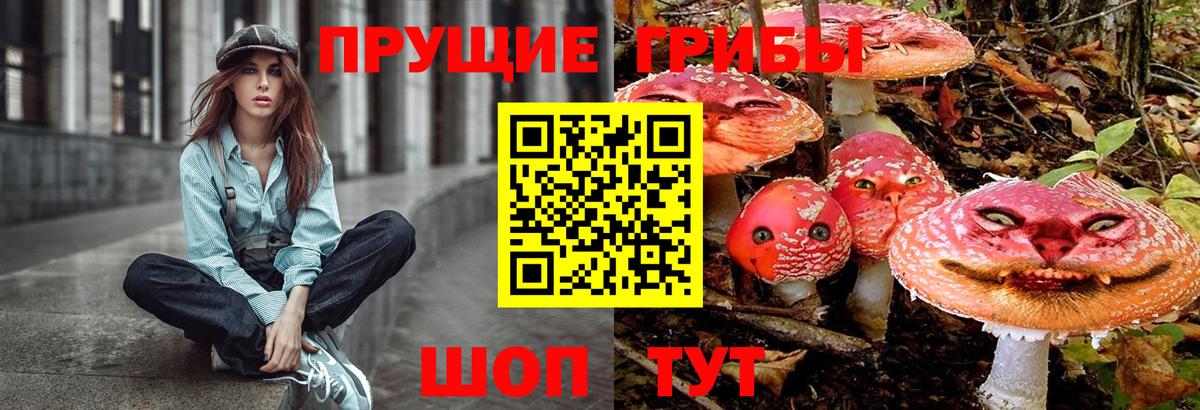 Псилоцибиновые грибы Magic Shrooms Волжск